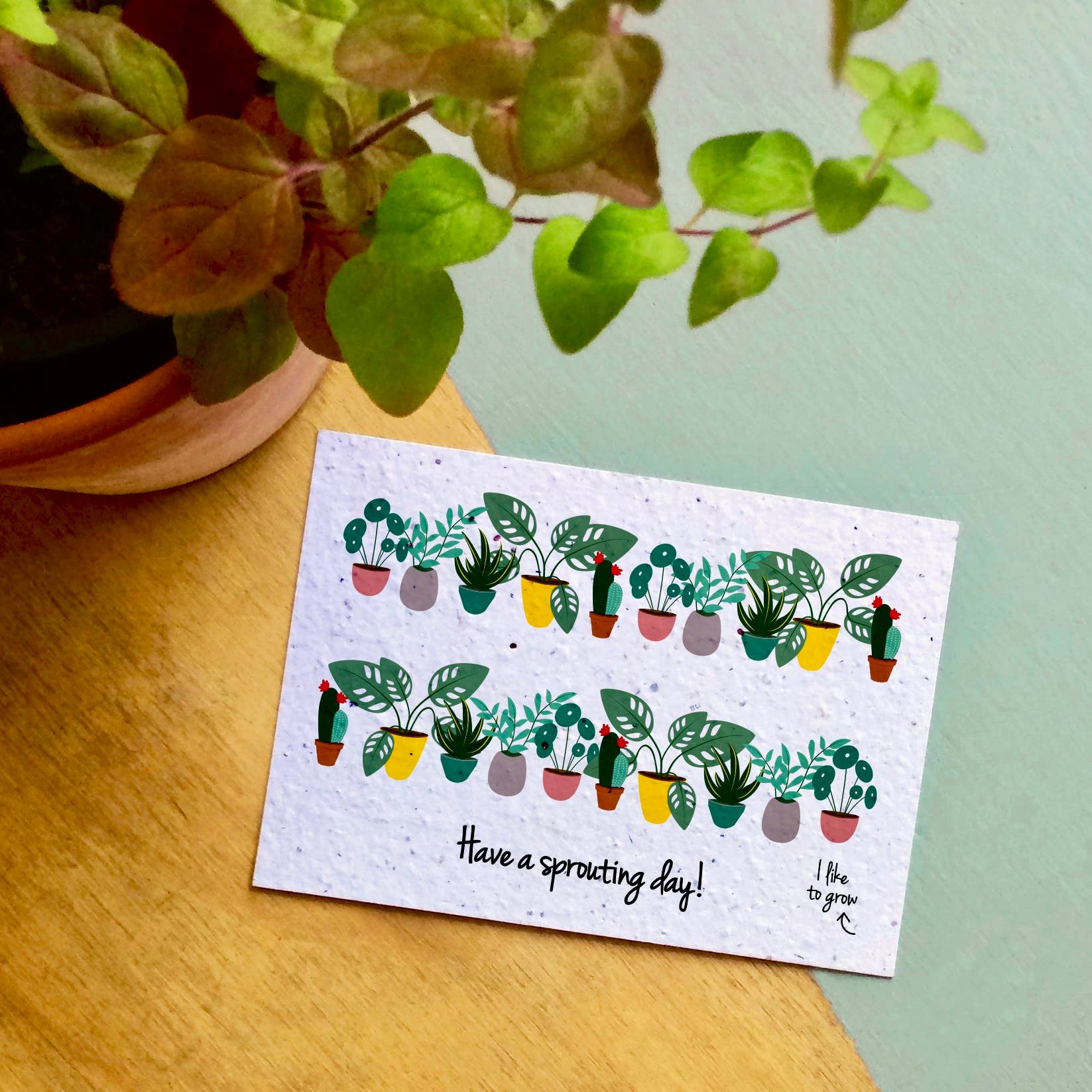 Plantbare Groeikaart – Wilde Bloemen
