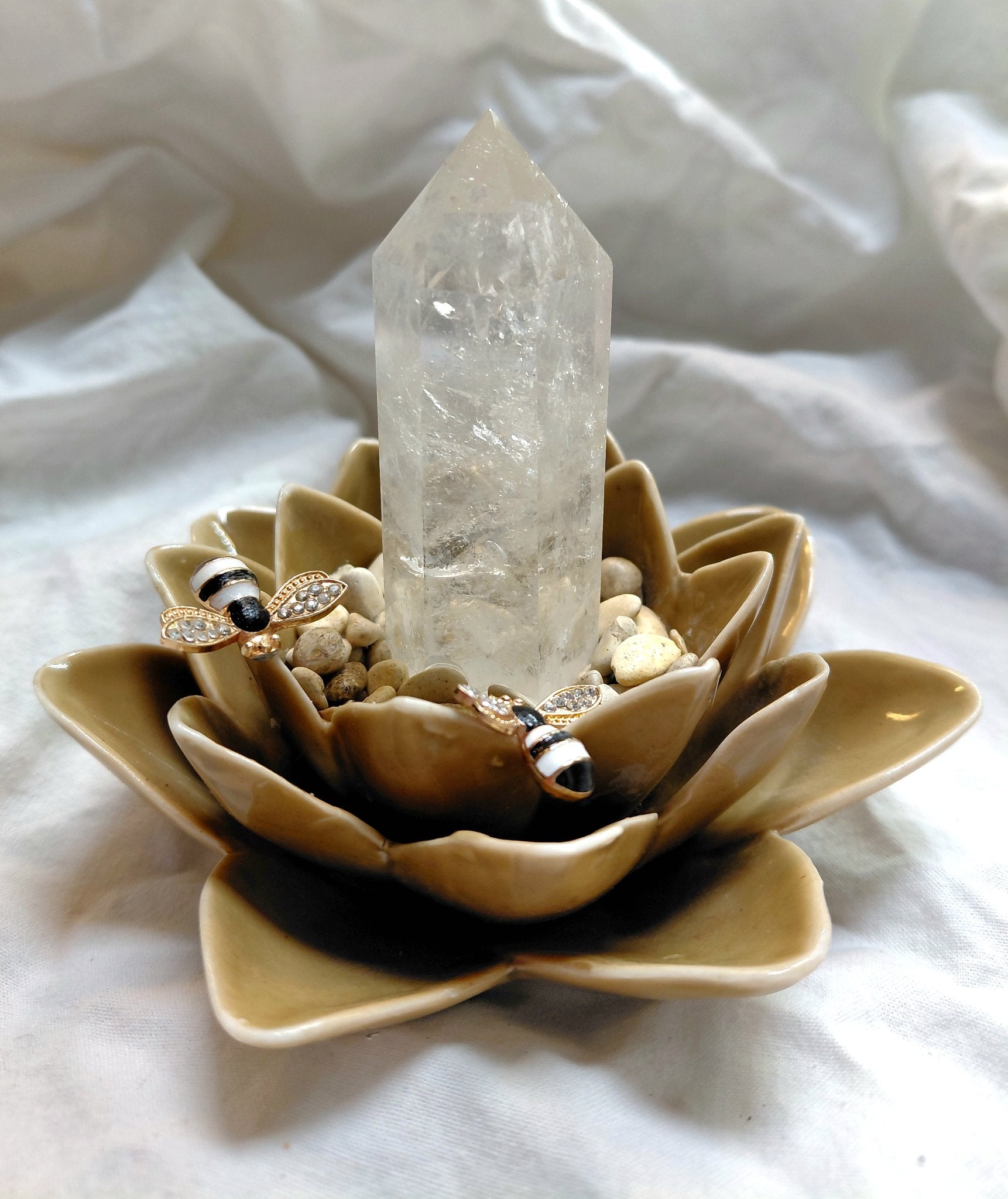 6973ca546c51700180f9ca2f_1000013869_1775382452287.jpg