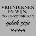 6973ca546c51700180f9ca2f_vriendinnen-en-wijn_1786482047056.png