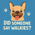 6973ca546c51700180f9ca2f_walkies_1786481554765.jpg