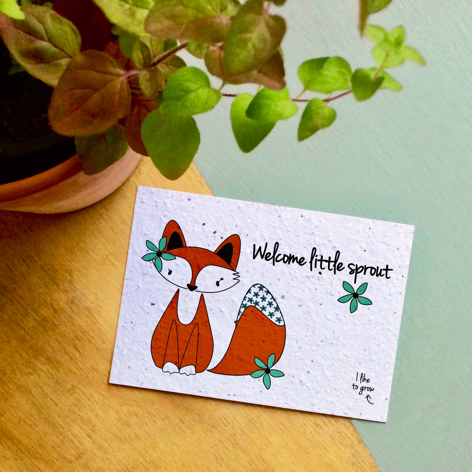 Plantbare Groeikaart – Wilde Bloemen
