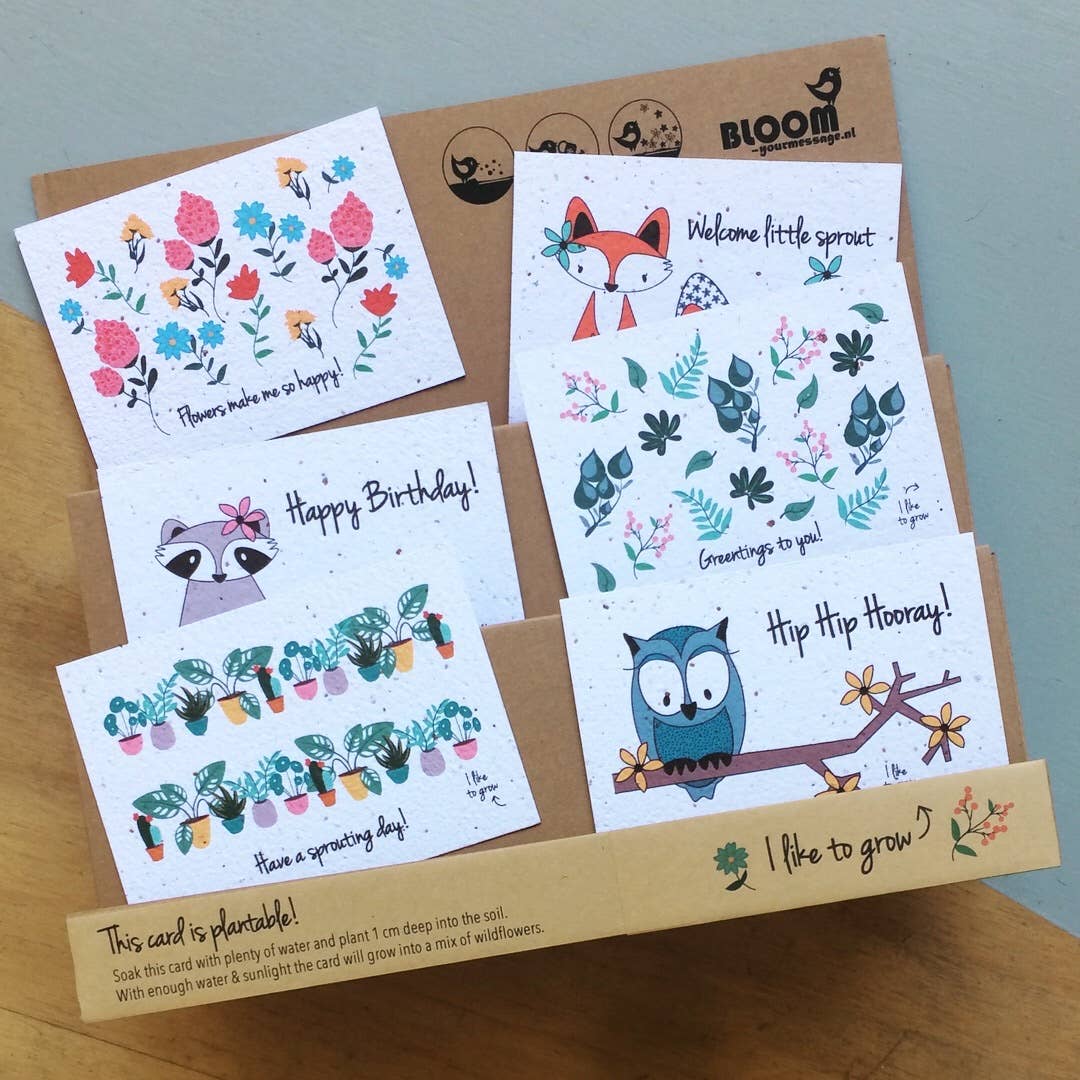 Plantbare Groeikaart – Wilde Bloemen