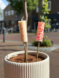 Tuinkaars klein