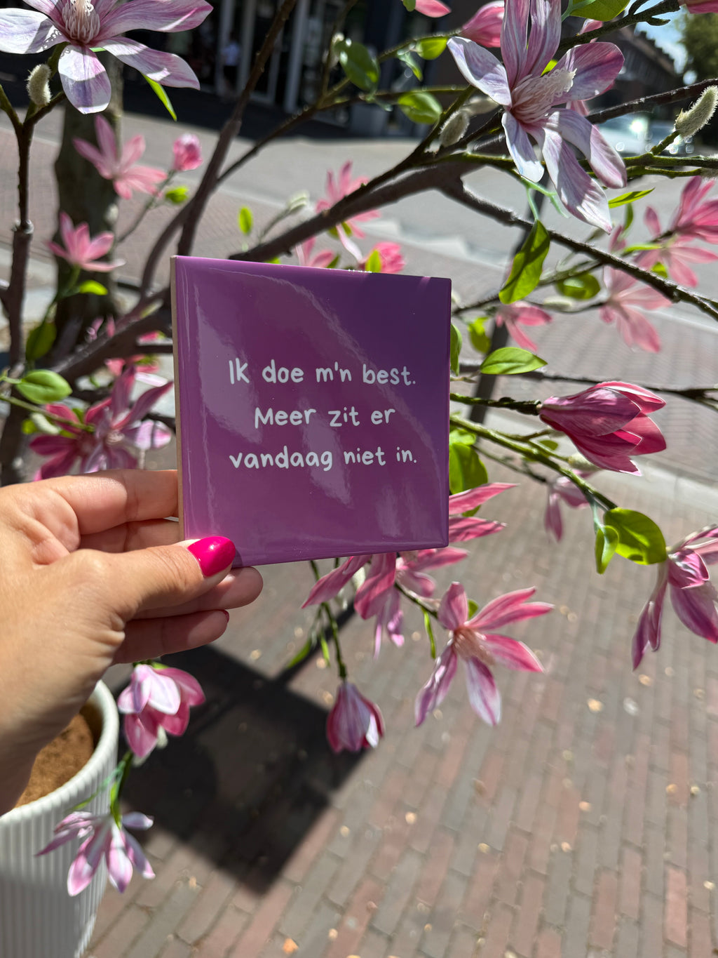 Tegeltje - Ik doe m'n best.