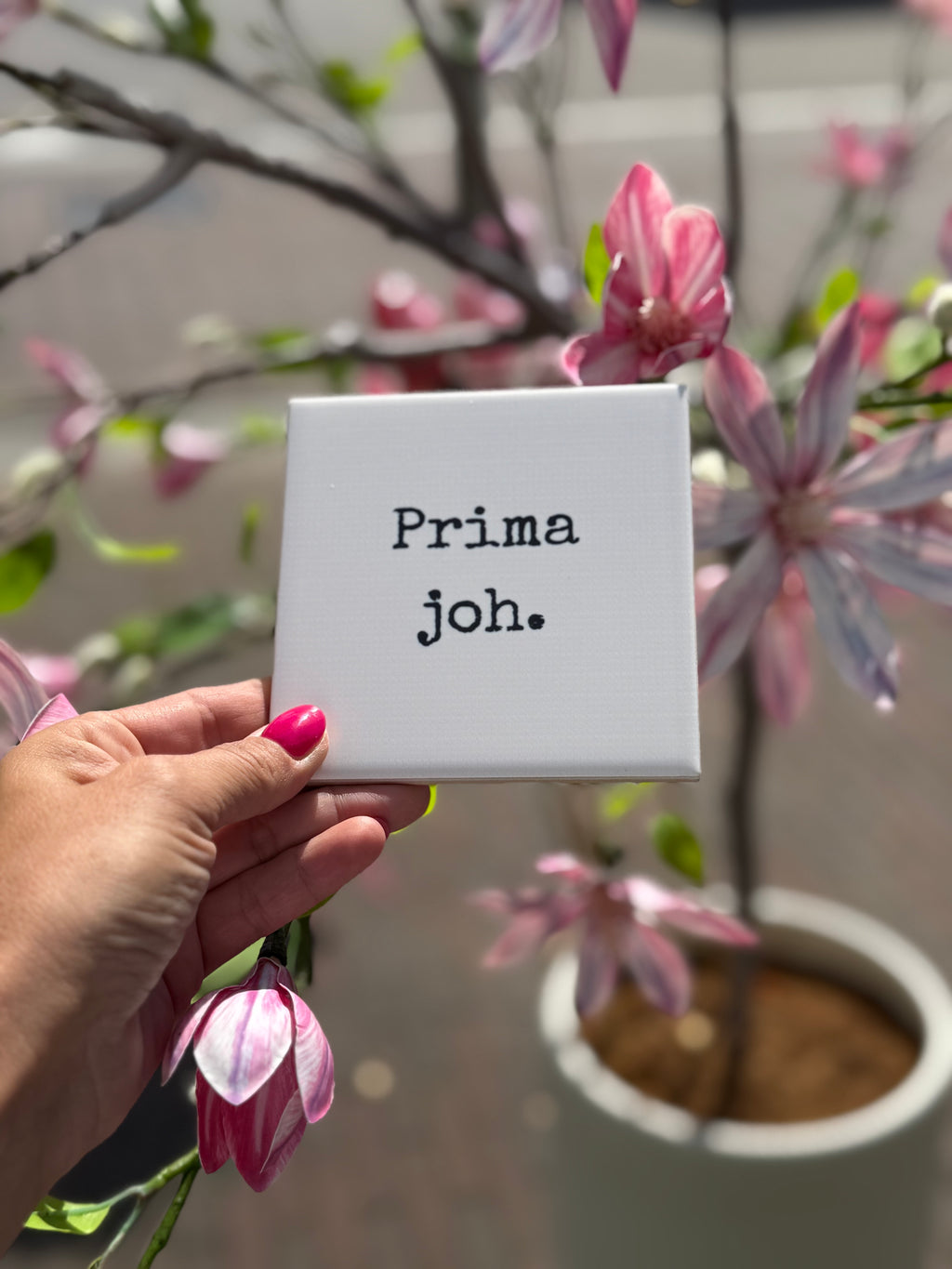 Tegeltje - Prima joh.