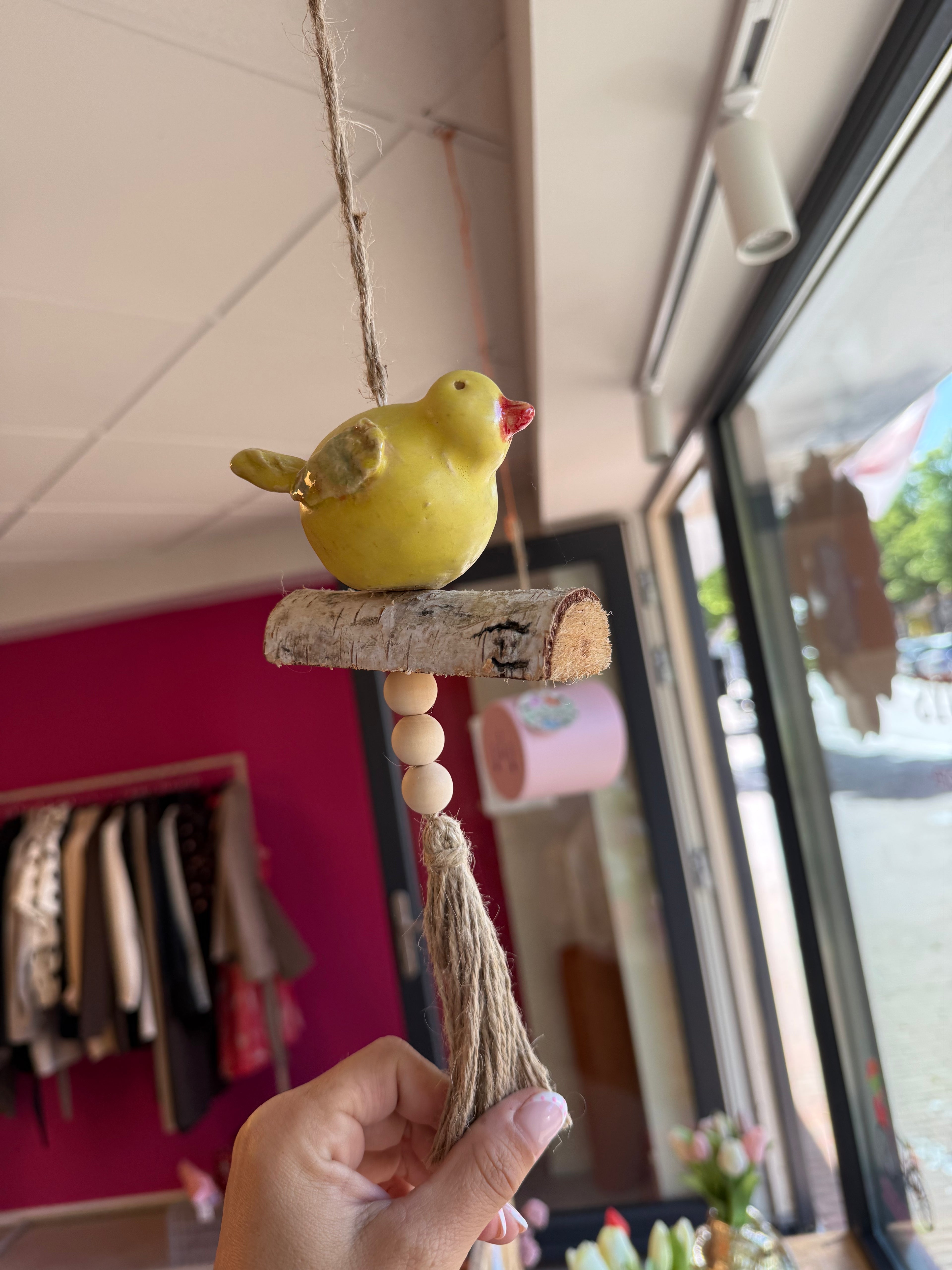 vogel aan touw