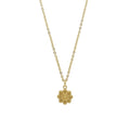 RVS Zeeuwse knop ketting goud - Kleine knop | MYKK