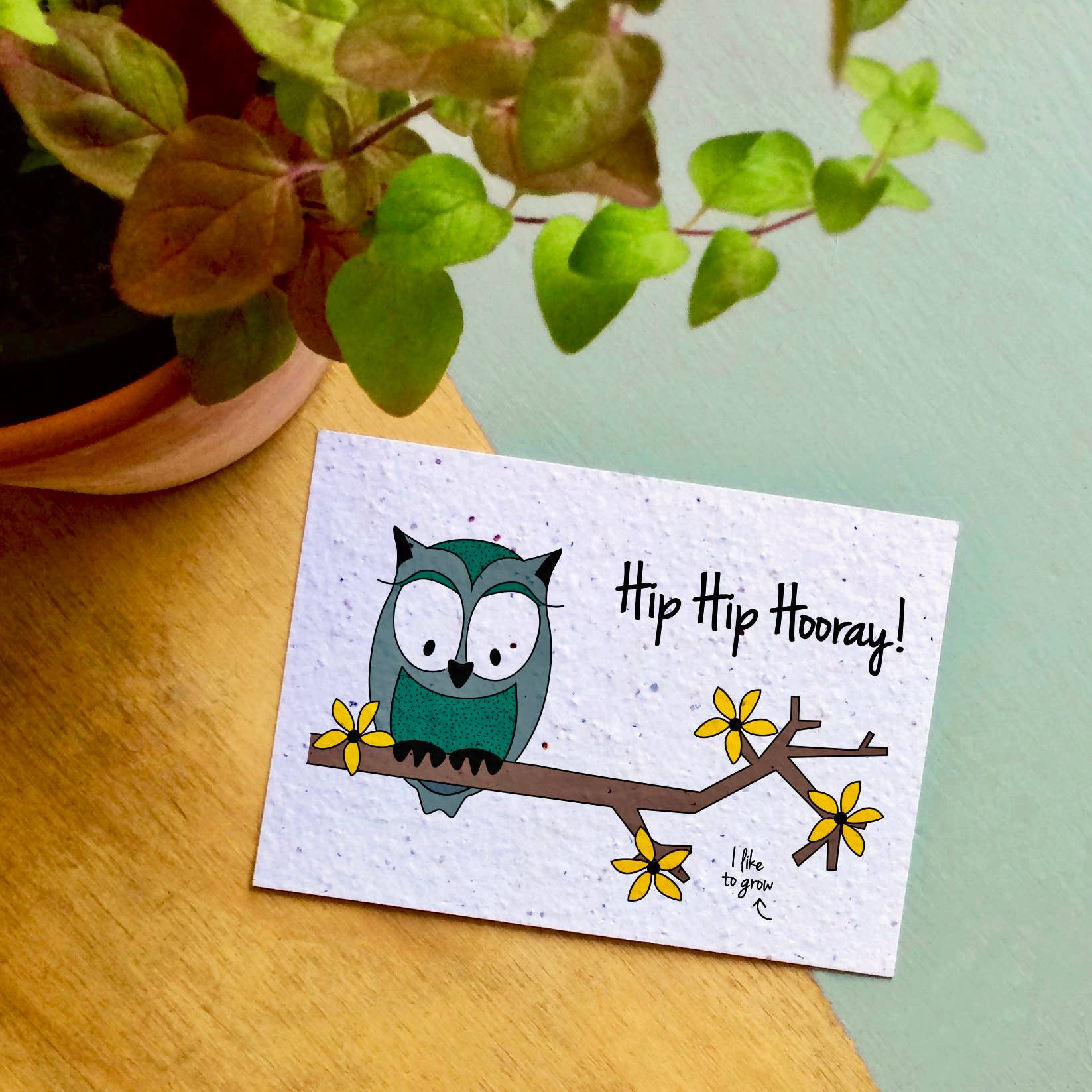 Plantbare Groeikaart – Wilde Bloemen