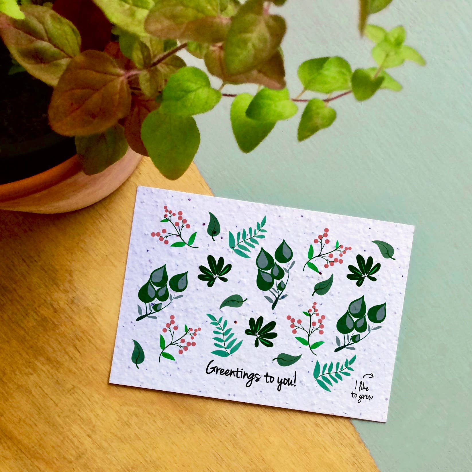 Plantbare Groeikaart – Wilde Bloemen