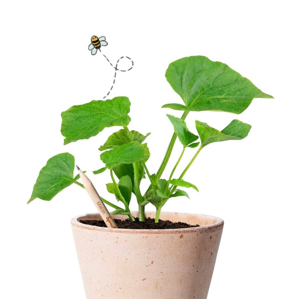 Bloeipotlood – Plantbaar Potlood met Zaden
