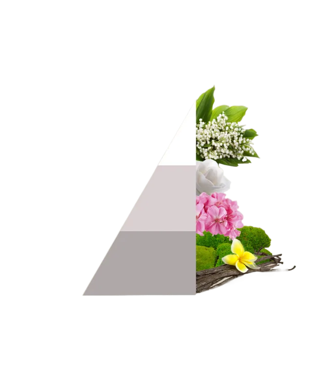 Horomia wasparfum White