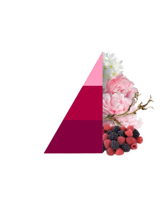 Horomia wasparfum Petali di Peonia