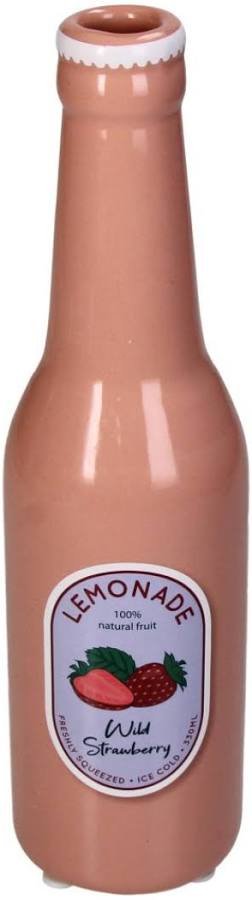 Vaas Fles – kleurrijke blikvanger voor elk interieur